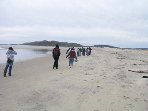 Plum_Island_133