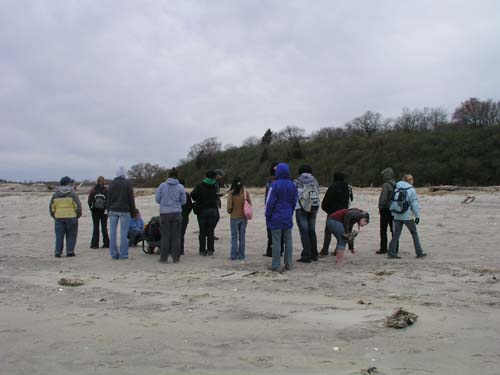 Plum_Island_135