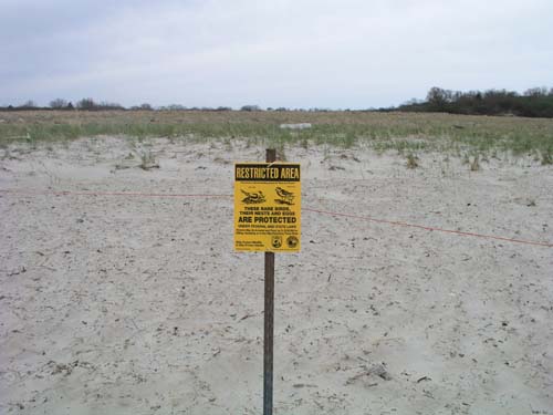 Plum_Island_140