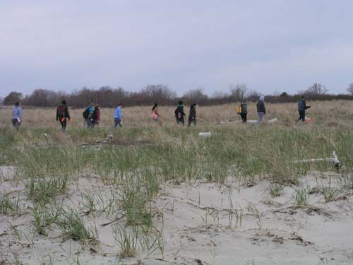 Plum_Island_141