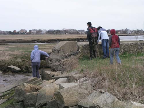 Plum_Island_145