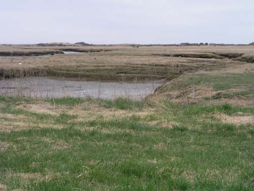 Plum_Island_146