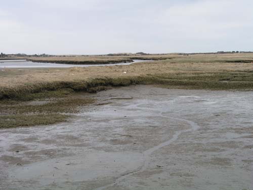 Plum_Island_148