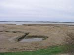 Plum_Island_102