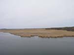 Plum_Island_103