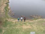Plum_Island_104