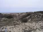 Plum_Island_110