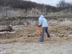 Plum_Island_113