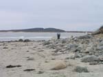 Plum_Island_114