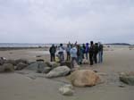 Plum_Island_117