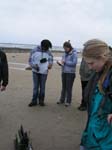Plum_Island_120
