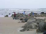 Plum_Island_122