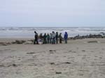 Plum_Island_125