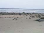Plum_Island_127