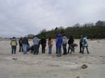 Plum_Island_135