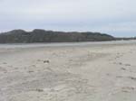 Plum_Island_138