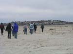 Plum_Island_139