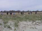 Plum_Island_141