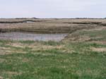 Plum_Island_146