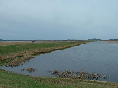 Plum_Island_203