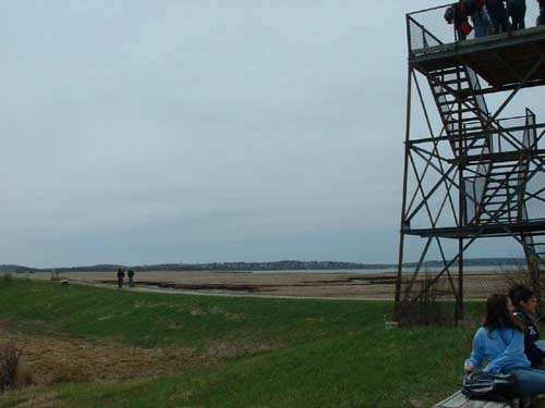 Plum_Island_204