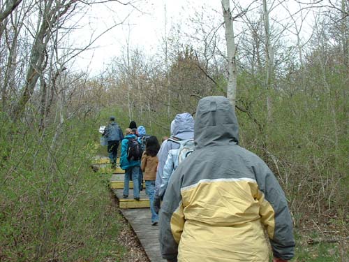 Plum_Island_206