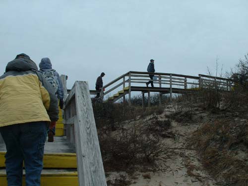 Plum_Island_207