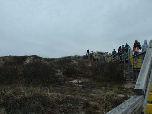 Plum_Island_208