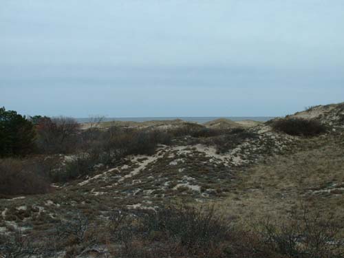 Plum_Island_209