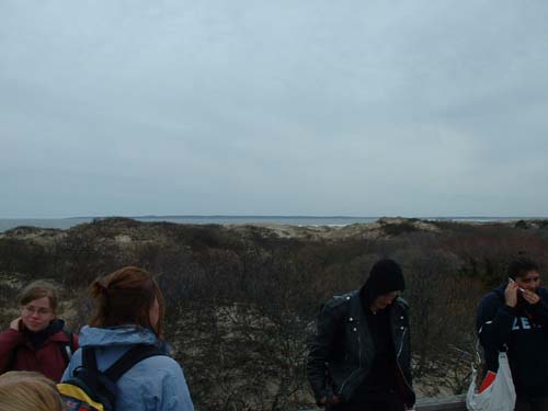 Plum_Island_211
