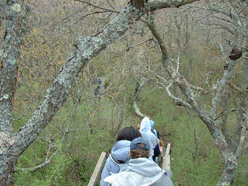 Plum_Island_213