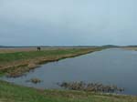 Plum_Island_203