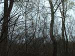 Plum_Island_205
