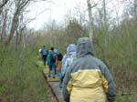 Plum_Island_206