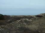 Plum_Island_209