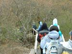 Plum_Island_212