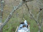 Plum_Island_213