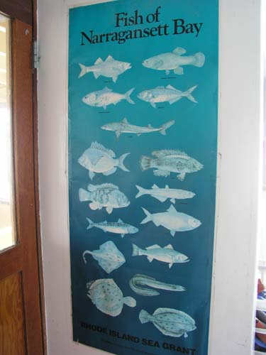 ProjectO_127