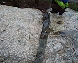 capeann02.jpg