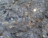 capeann09.jpg