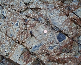 capeann12.jpg