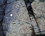 capeann13.jpg