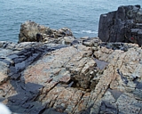 capeann14.jpg