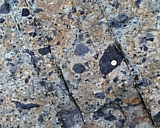 capeann15.jpg