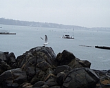 capeann17.jpg