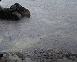 capeann22.jpg
