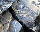 capeann23.jpg