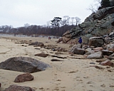 capeann29.jpg