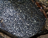 capeann31.jpg