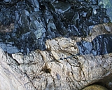 capeann33.jpg